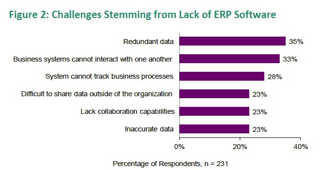 ERP software challenges
